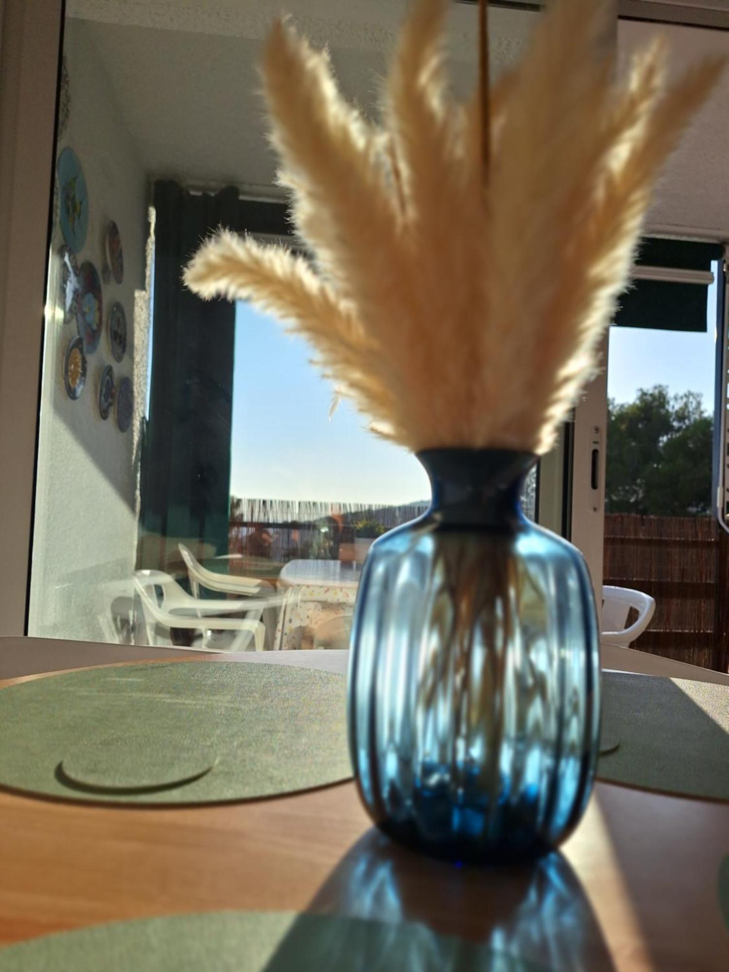 La Calma De Tossa Apartman Girona Kültér fotó